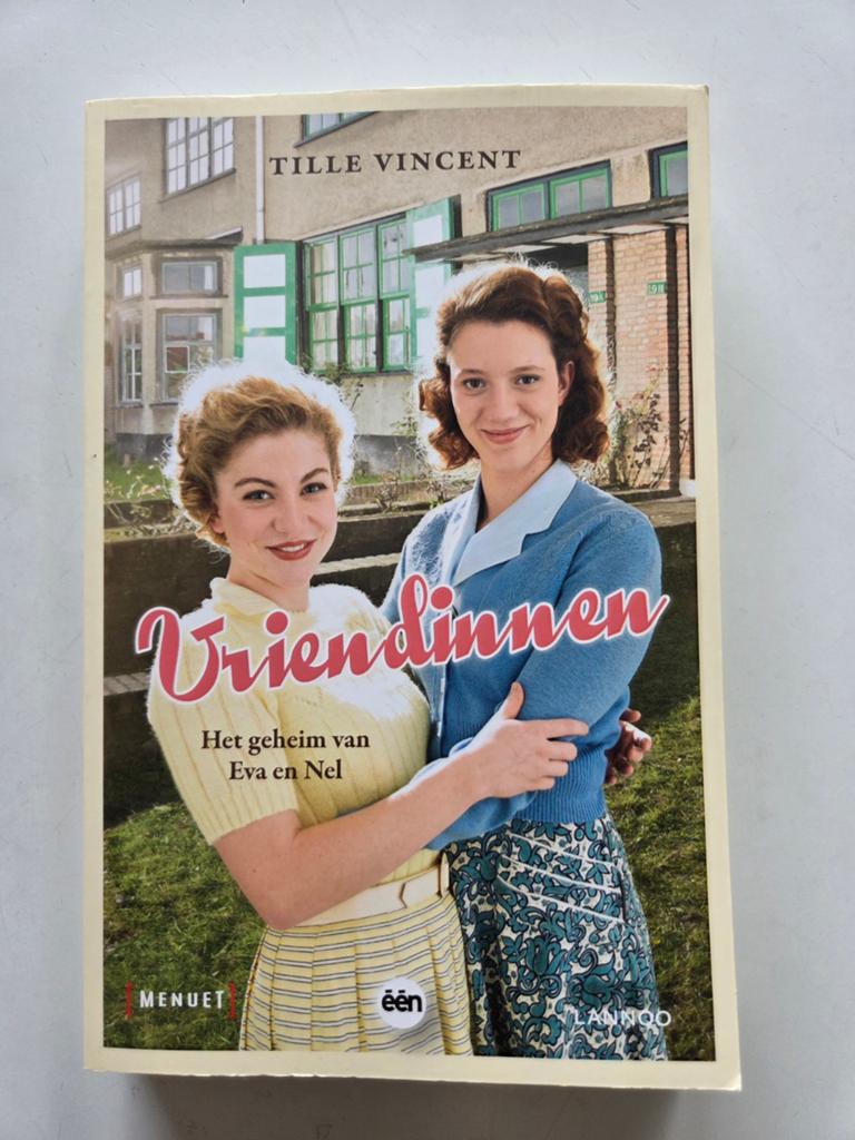 Vriendinnen, Boeken, Streekboeken en Streekromans, Ophalen of Verzenden, Zo goed als nieuw