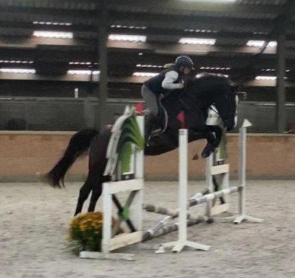 Chique 4 jarige ruin !