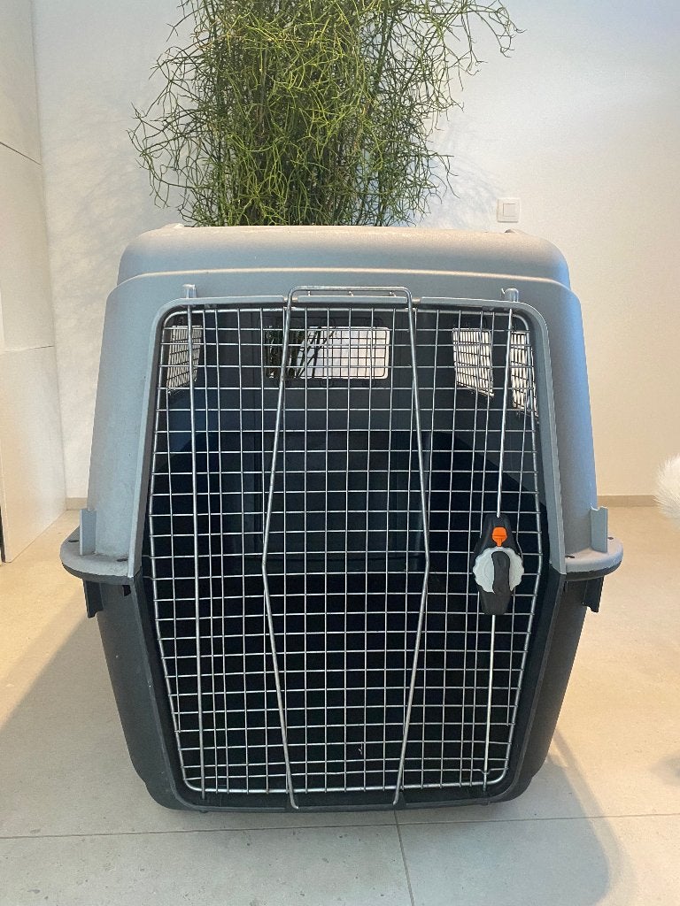 Cage transport Grand chien XXL, Animaux & Accessoires, Enlèvement, Utilisé