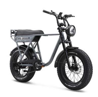 Fatbike ape ryder, Ophalen, Nieuw, 30 tot 50 km per accu, Overige merken