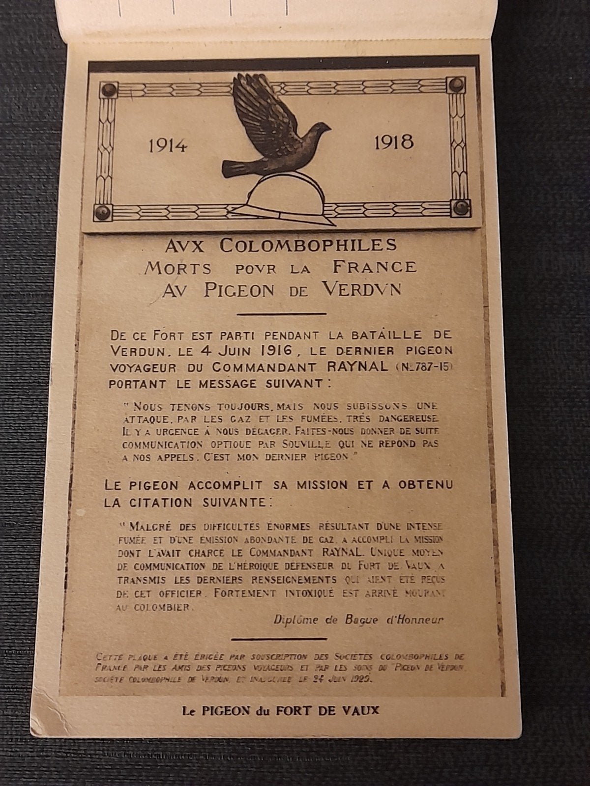 17 postkaarten van gedenktekens uit de Eerste Wereldoorlog, Verzamelen, Ophalen of Verzenden, Landmacht, Foto of Poster