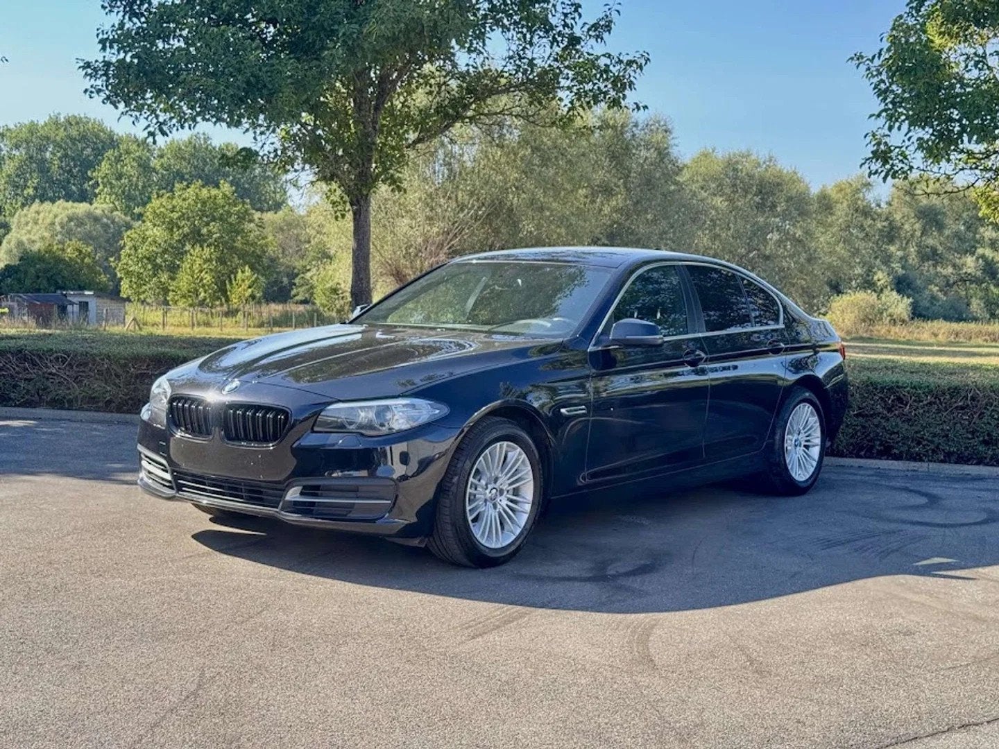 BMW 5 Serie 518 dA sedan / NAVI PROF / PDC / LEDER / BT / ME, Autos, Cuir, Entreprise, Noir, Automatique