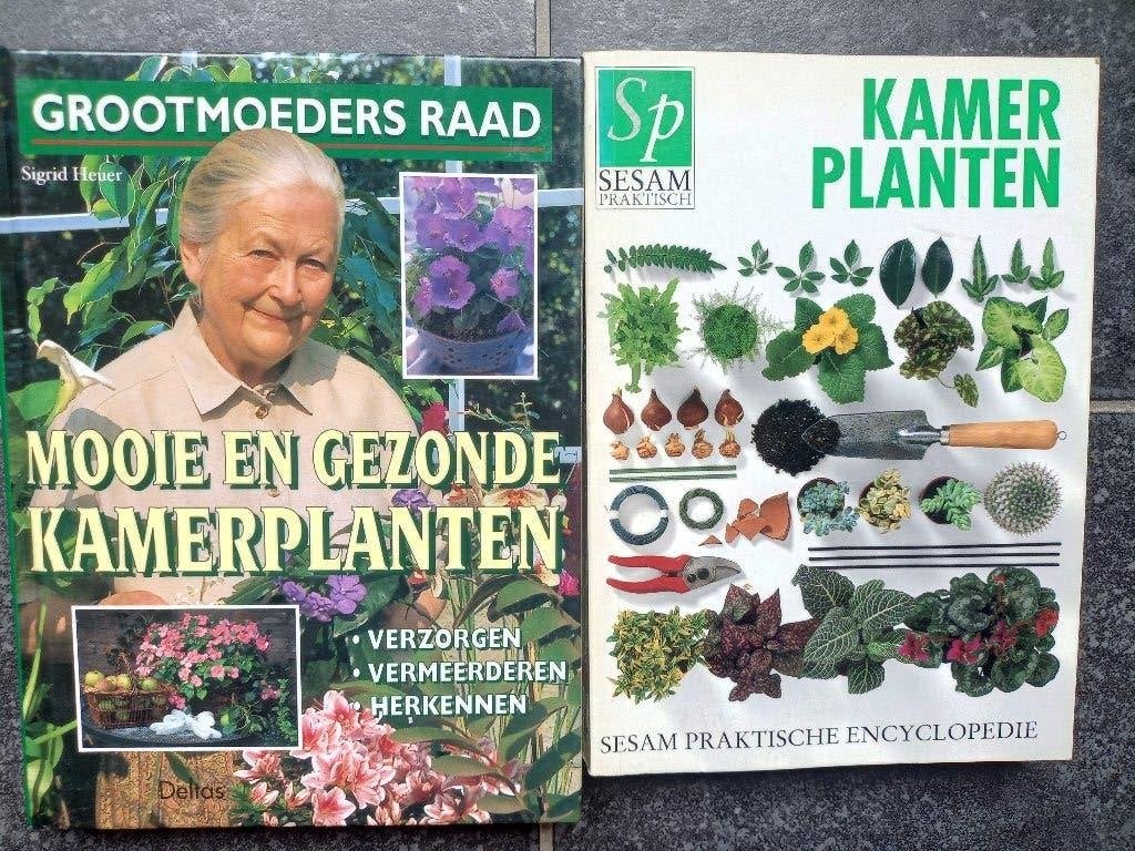 KAMERPLANTEN - 2 boeken prima staat, Ophalen of Verzenden, Gelezen, Kamerplanten