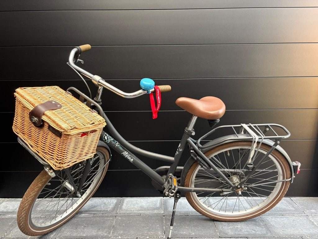 Meisjesfiets 20/22 inch, Ophalen, Terugtraprem, 22 inch, Gebruikt