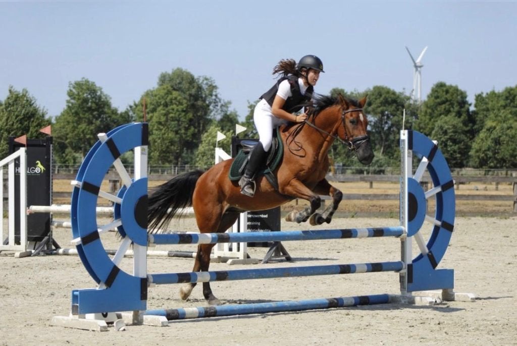 D-pony (leermeester), Animaux & Accessoires, Avec puce électronique, 11 ans ou plus, Hongre, L