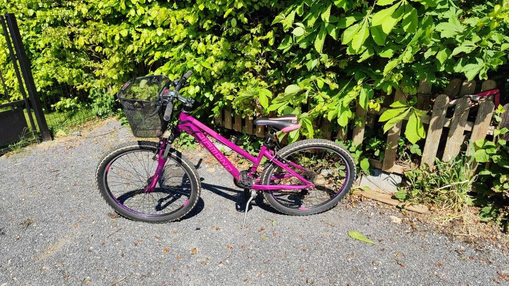 Vélo Diamond, Enlèvement