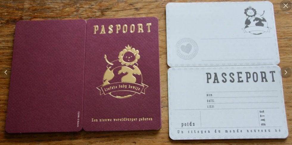 Cartes de naissance, passeport 5 versions NL et 5 FR NEUVES, Enlèvement ou Envoi, Neuf, Cadeau d'accouchement