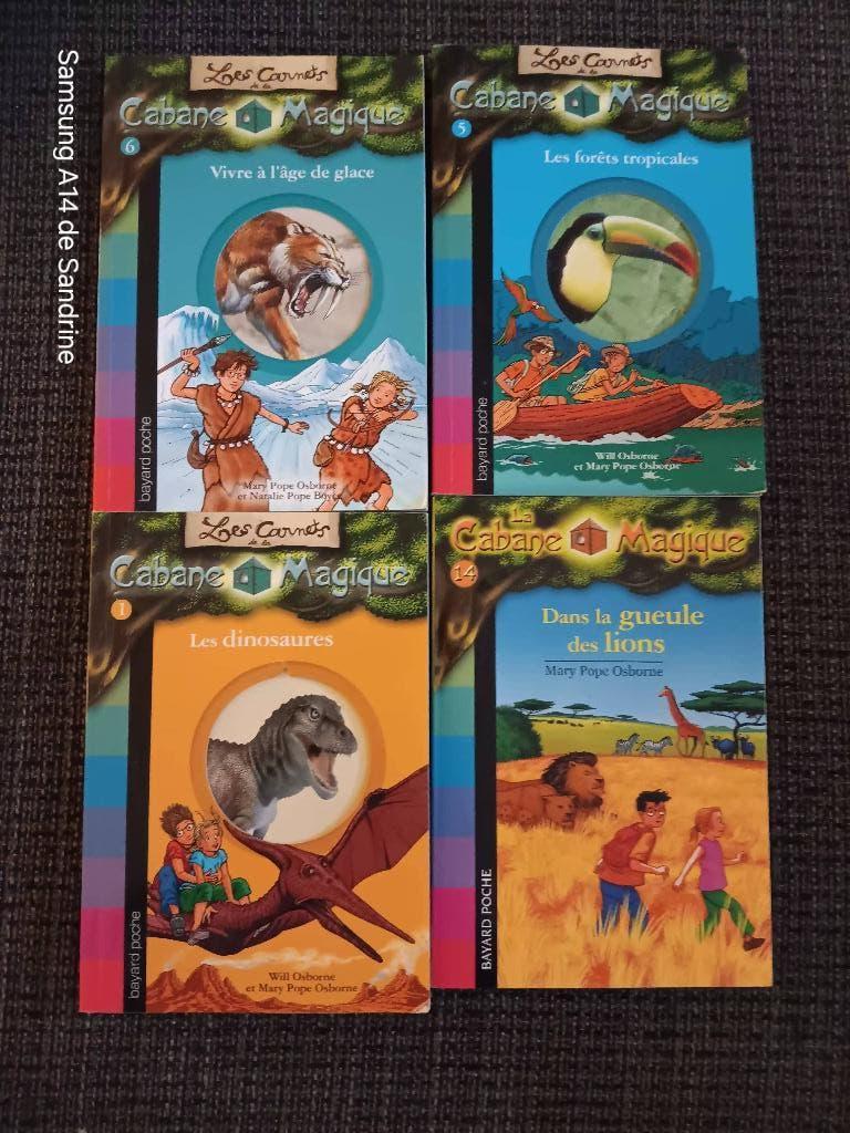Livres enfants, Enlèvement, Utilisé, Bayard, Non-fiction