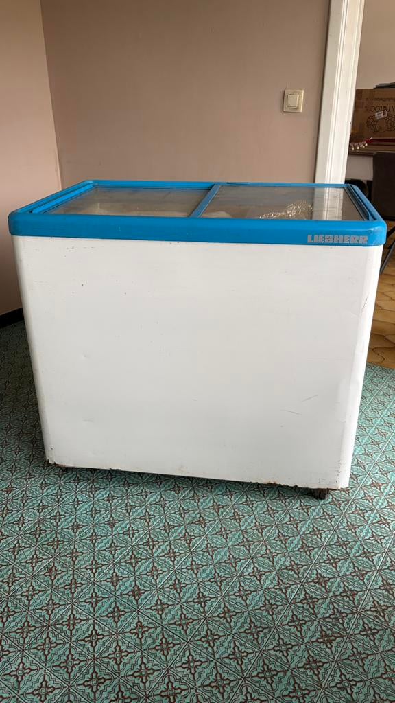Congélateur bahut freezer, Electroménager, Enlèvement, Utilisé, Congélateur
