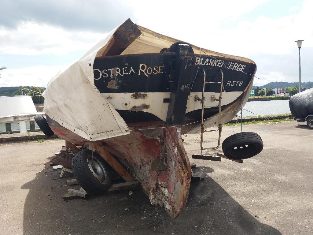 Ostrea rose zeilboot, Watersport en Boten, Kajuitzeilboten en Zeiljachten, 60 pk, Overige merken, Gebruikt, 11 m