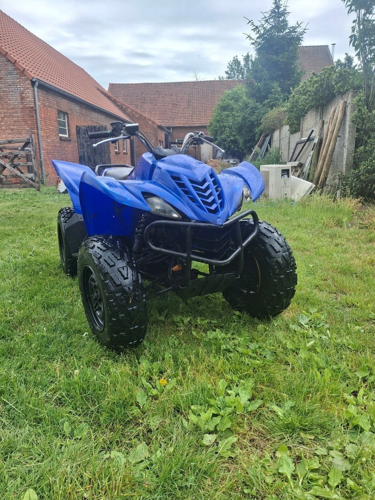 Yamaha Wolverine 350cc, 1 cylindre, 350 cm³