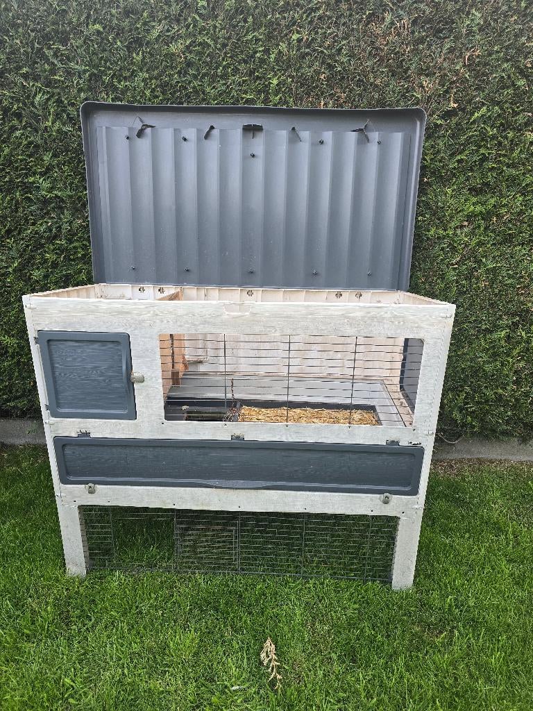 Konijnen of caviahok, Dieren en Toebehoren, Ophalen, Kooi, 90 cm of meer, Konijn