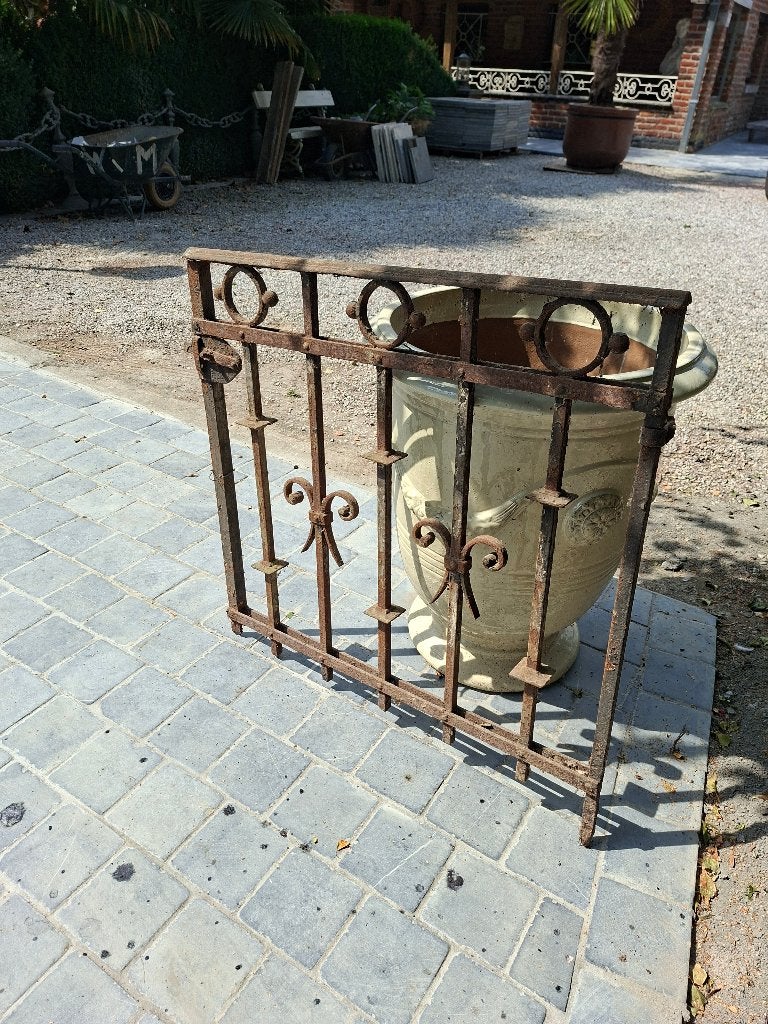 Poortje. Smeedijzer, Enlèvement, Utilisé, Fer, Porte du jardin