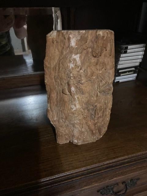 versteend hout, Verzamelen, Ophalen