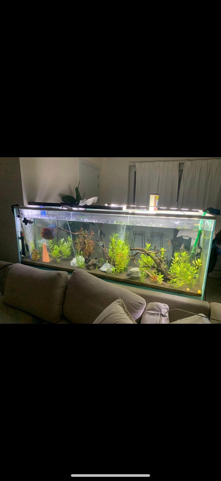2 meter aquarium te koop, Ophalen, Zo goed als nieuw, Filter