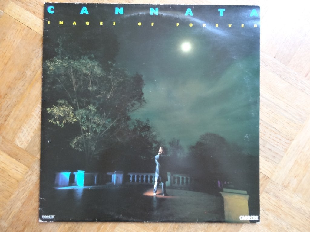 Jeff Cannata, CD & DVD, Vinyles | Rock, Pop rock, Enlèvement ou Envoi, Utilisé, LP