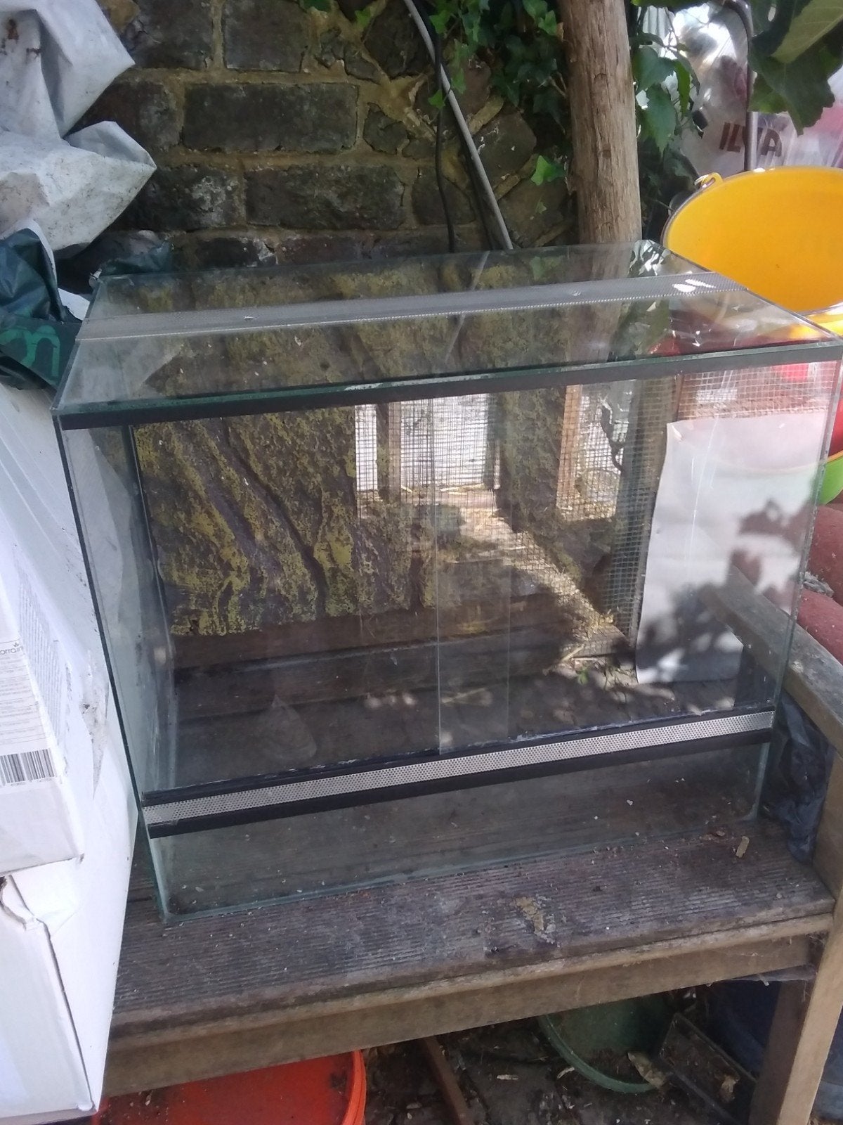 terrarium, Animaux & Accessoires, Reptiles & Amphibiens | Accessoires, Enlèvement, Utilisé, Terrarium ou Paludarium