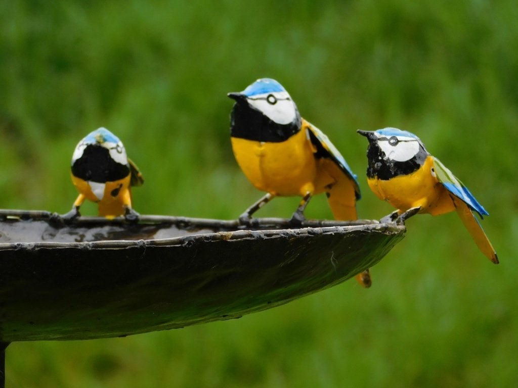 Vogelbad met 3 Vogeltjes - Tuinsteker - Metaal, Ophalen of Verzenden