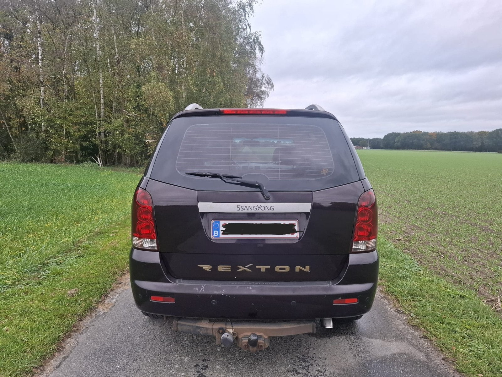 Ssangyong Rexton 2.7 xdi - 4x4 lichte vracht gekeurd verkoop, Auto's, Dealer onderhouden, Achterwielaandrijving, Zwart, Bruin
