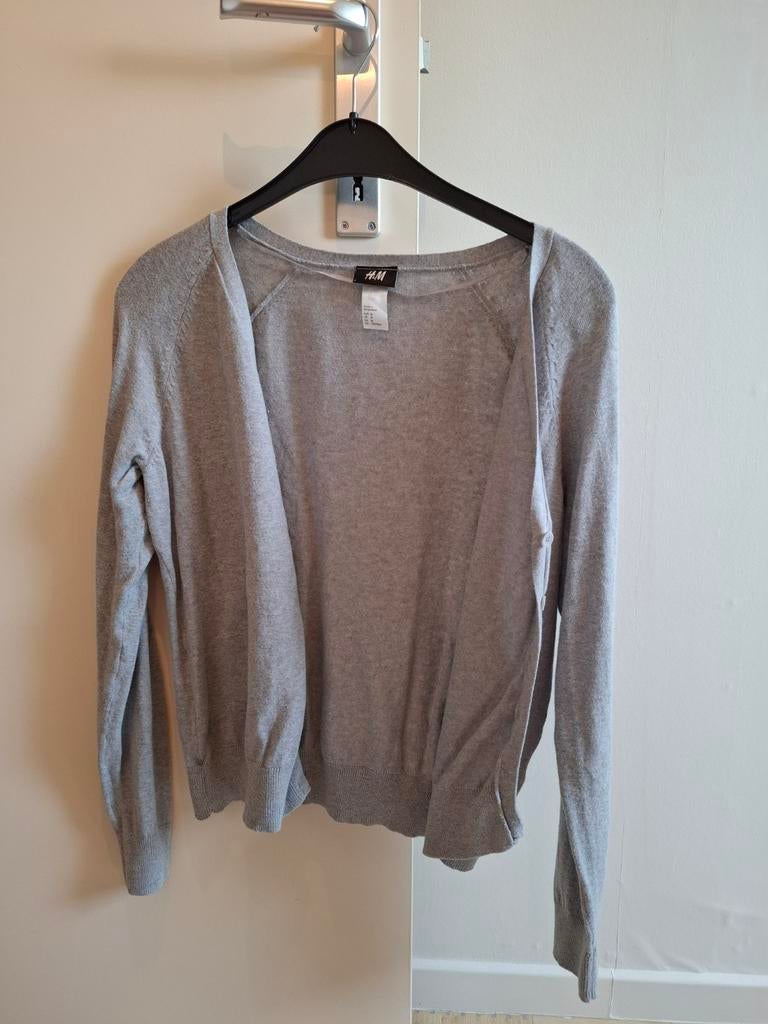 Cardigan, Ophalen, Zo goed als nieuw, Maat 38/40 (M), Grijs
