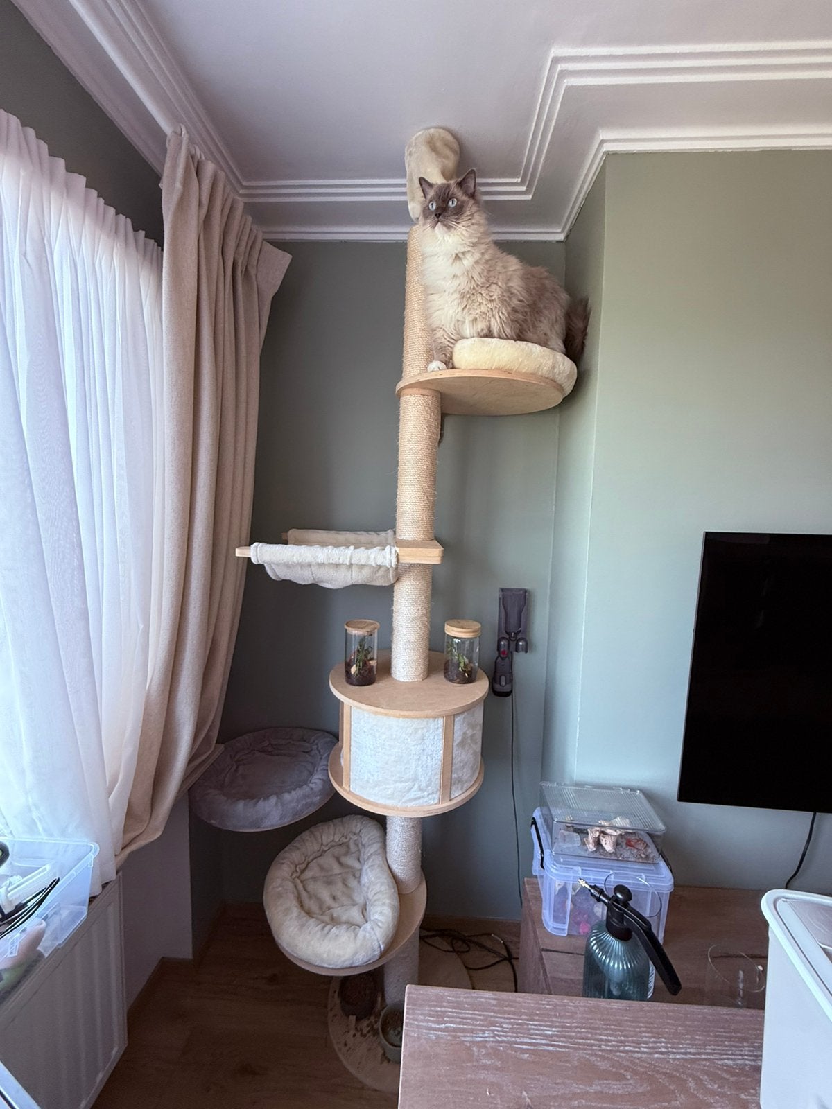 Arbre à chat XXL jusqu'à 2,80 m + plateforme murale 150€, Animaux & Accessoires, Meubles griffoirs pour chats, Enlèvement, Comme neuf