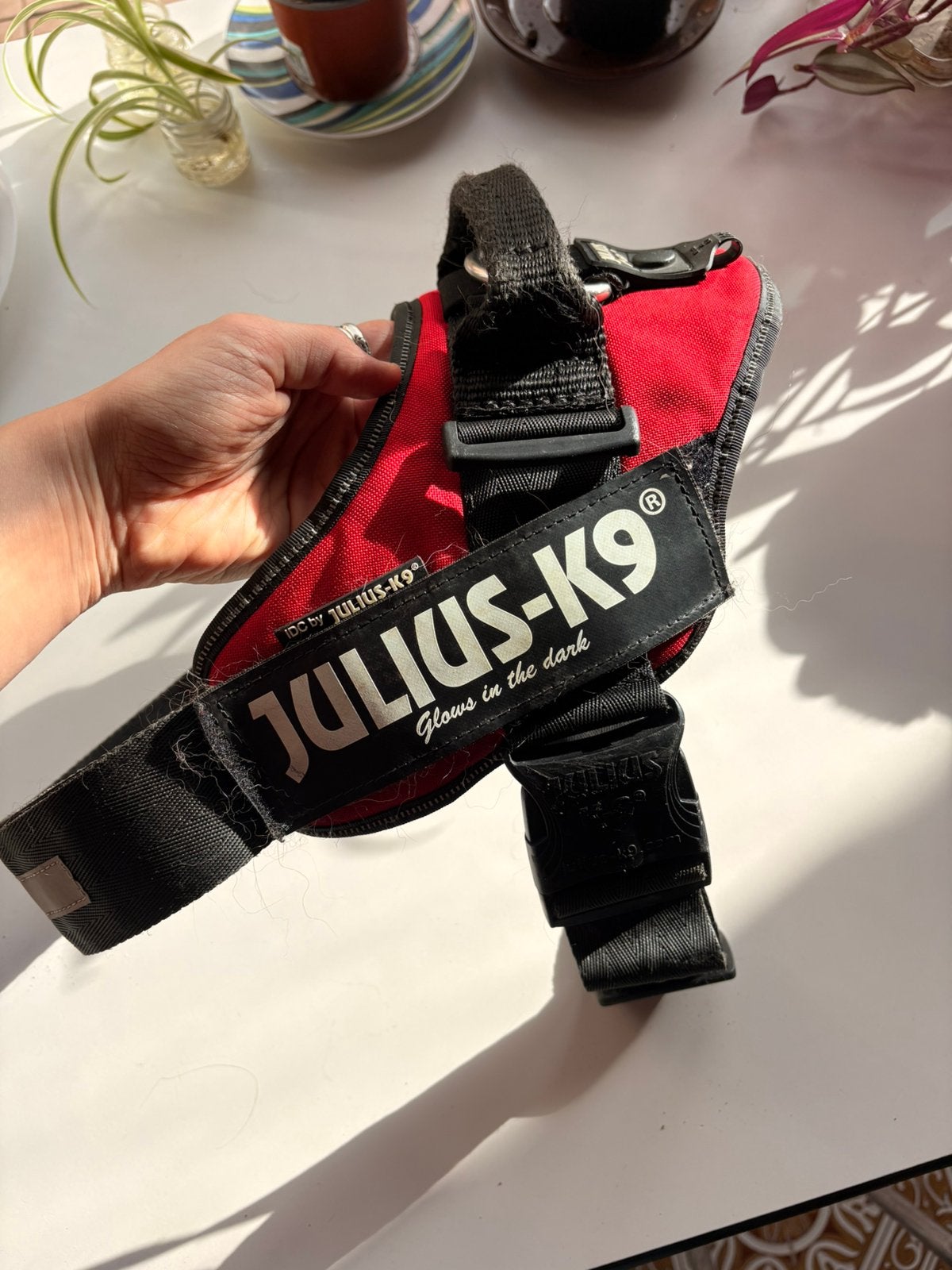 Julius k9 harnas maat L 1, Ophalen of Verzenden, Gebruikt