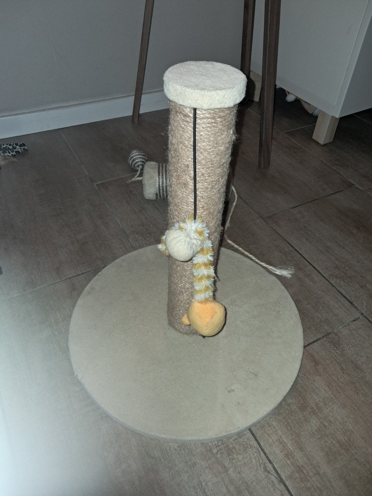articles pour chats, jouet, griffoir, gratuit, Animaux & Accessoires, Enlèvement, Griffoir