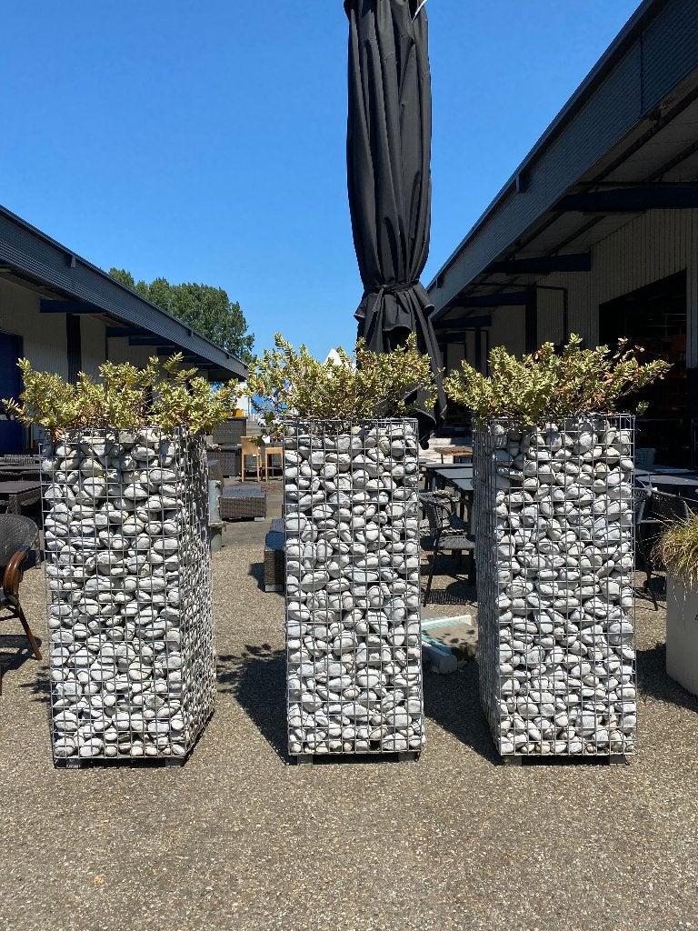 Plantenbak Kei incl. plant Kubric 155x50cm (3 stuks), Steen, Gebruikt, 100 cm of meer, Ophalen of Verzenden