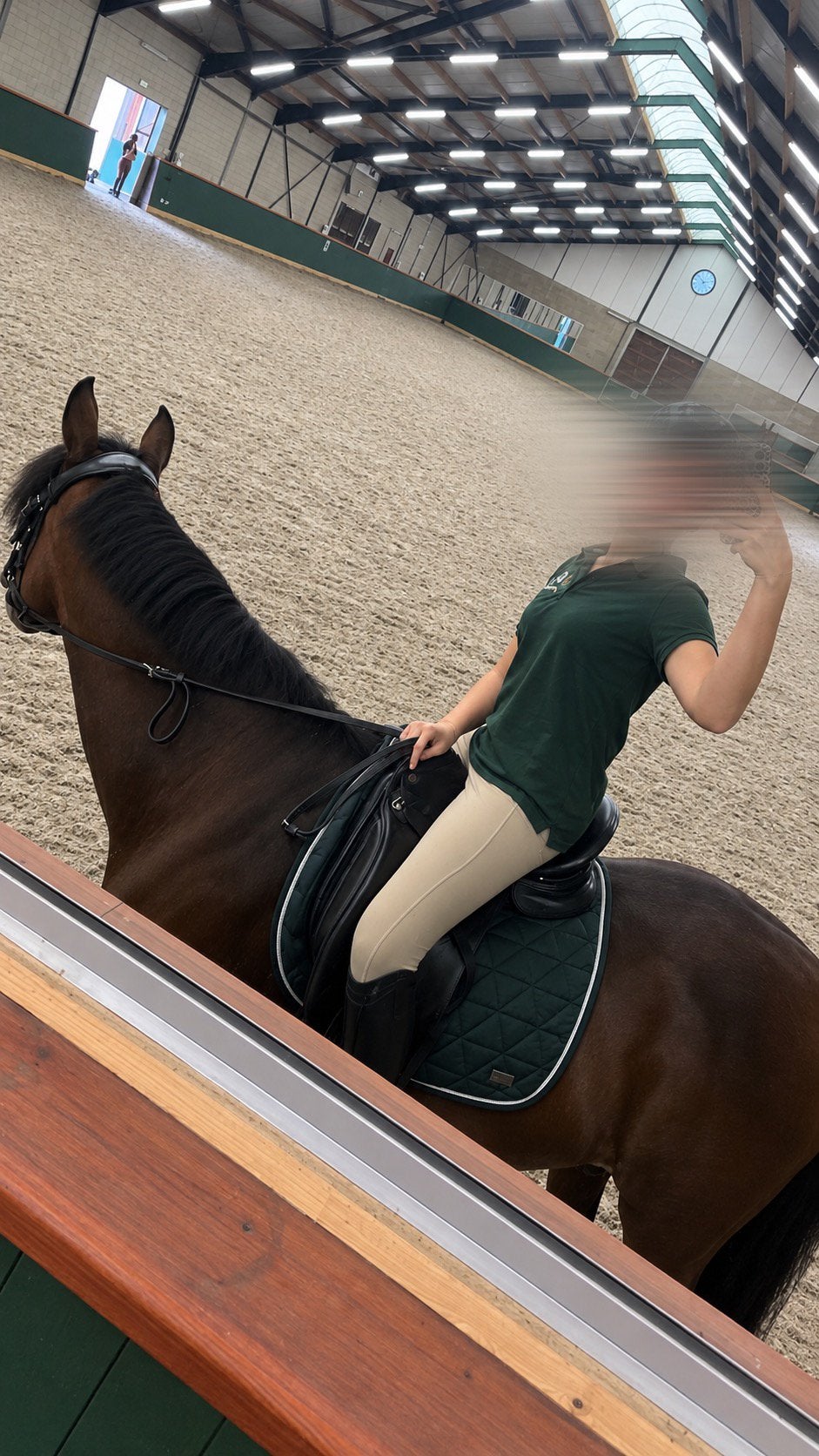 Verzorg pony/paard gezocht, Meerdere dieren, M, Dressuurpaard, 7 tot 10 jaar