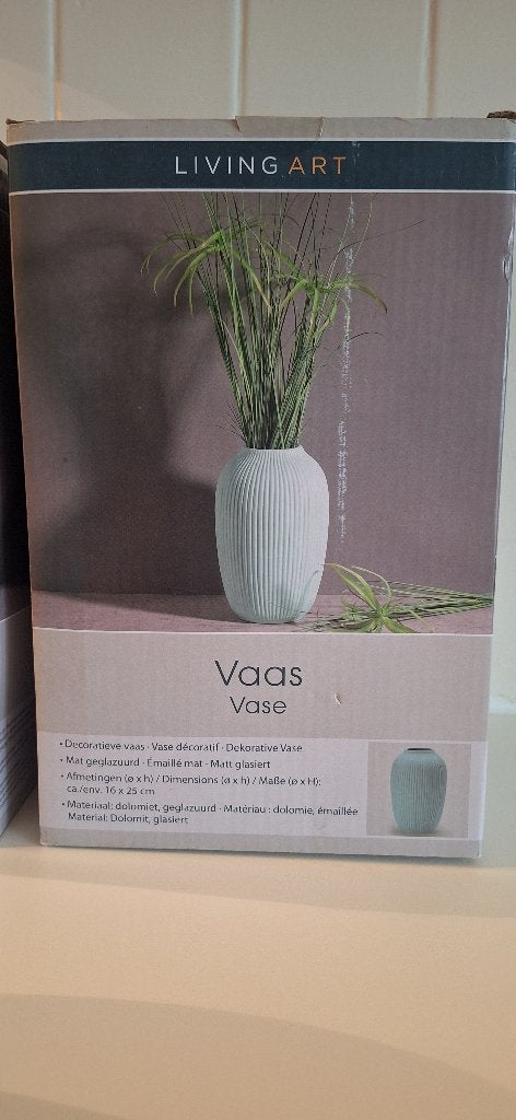 Prachtige Vaas NIEUW met Doos 2 Stukken, Huis en Inrichting, Woonaccessoires | Vazen, Ophalen, 25 cm, Nieuw, Geschikt voor droogbloemen