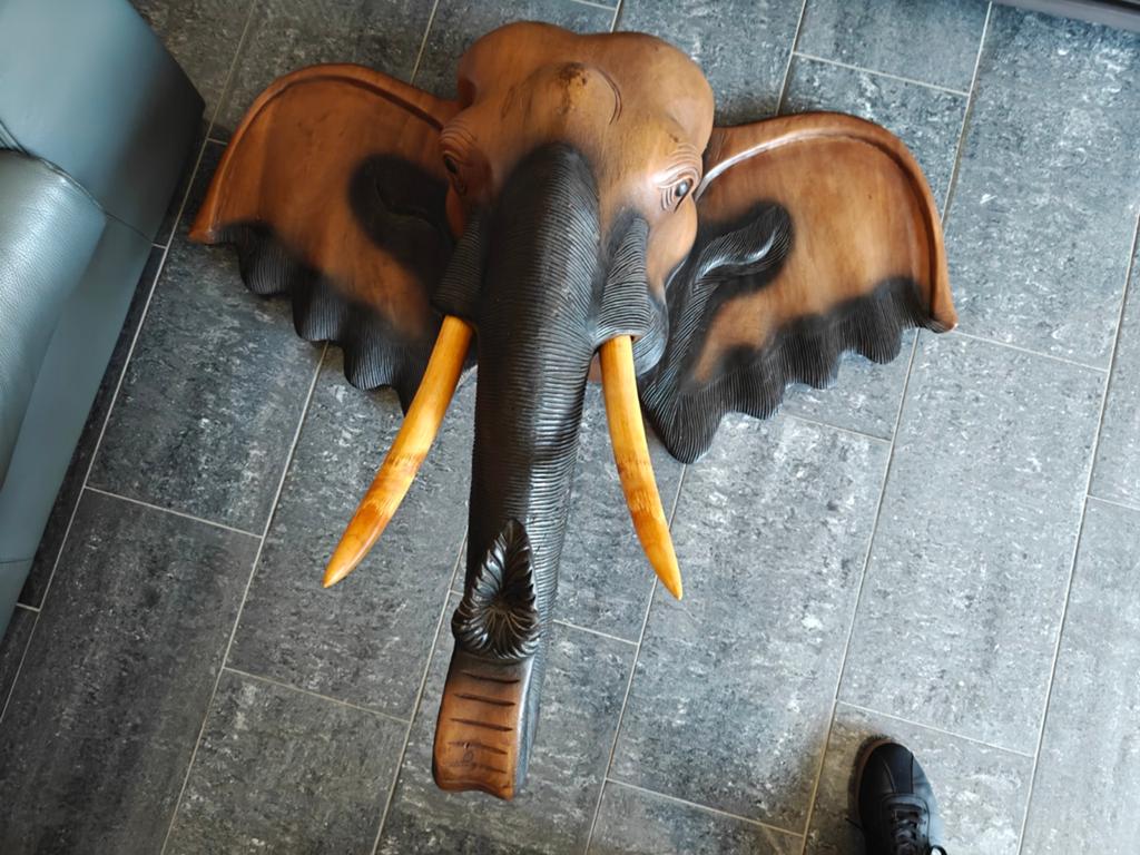 Tête d éléphants en teck massif  vrai défense, Collections, Collections Animaux, Enlèvement