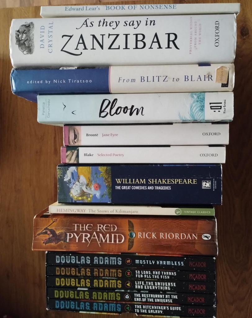 Boeken & strips (NL-EN-FR), Boeken, Ophalen of Verzenden, Zo goed als nieuw