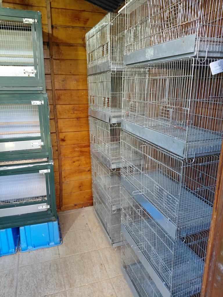 Cages elevage, Enlèvement ou Envoi