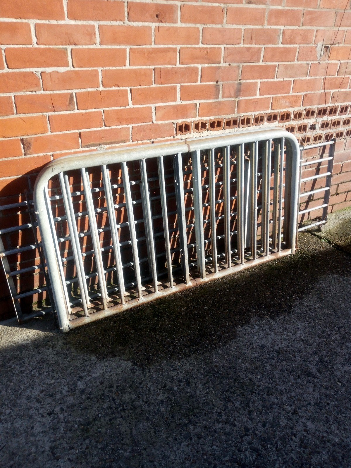 galva hekkens 3 stuks hoog 0.95 lengte 175