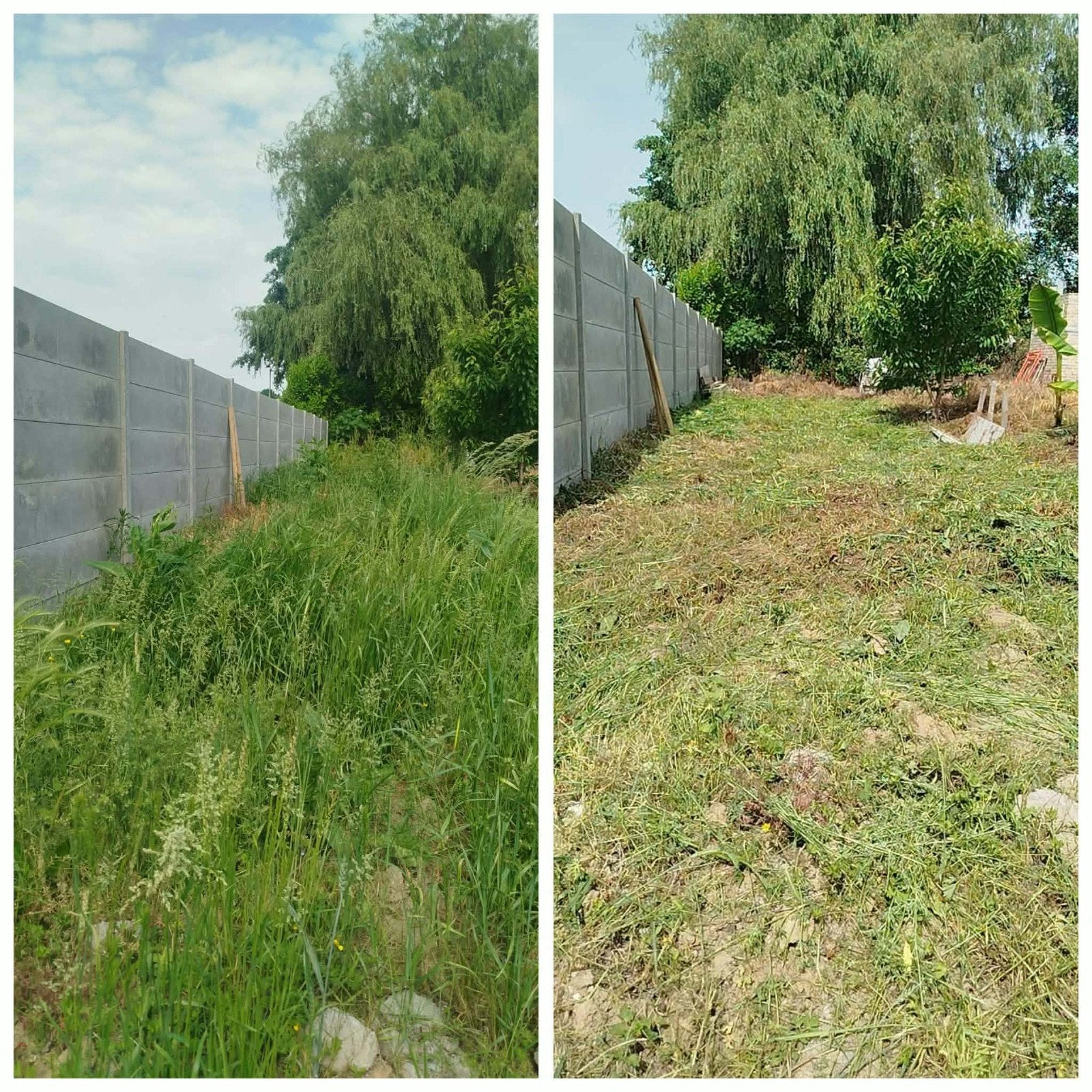 Entretien jardin
