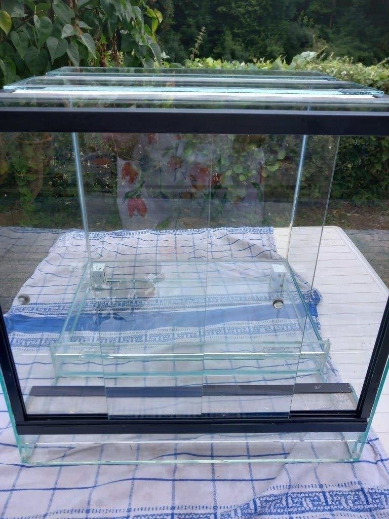 Terrarium 45 x45 x45, Animaux & Accessoires, Enlèvement, Comme neuf, Terrarium ou Paludarium