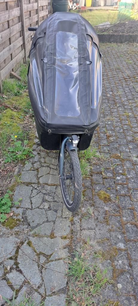 Elektrische bakfiets van het merk dolly, Ophalen, Gebruikt, 2 kinderen, Elektrisch