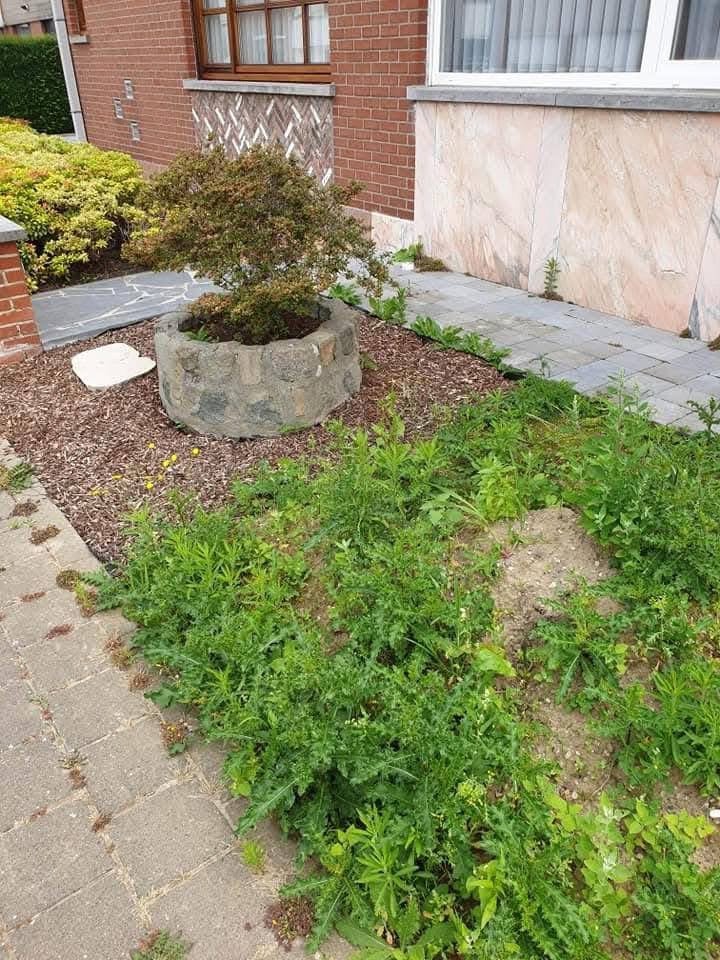 Onderhoud, Jardin & Terrasse, Plantes | Jardin, Printemps, Enlèvement