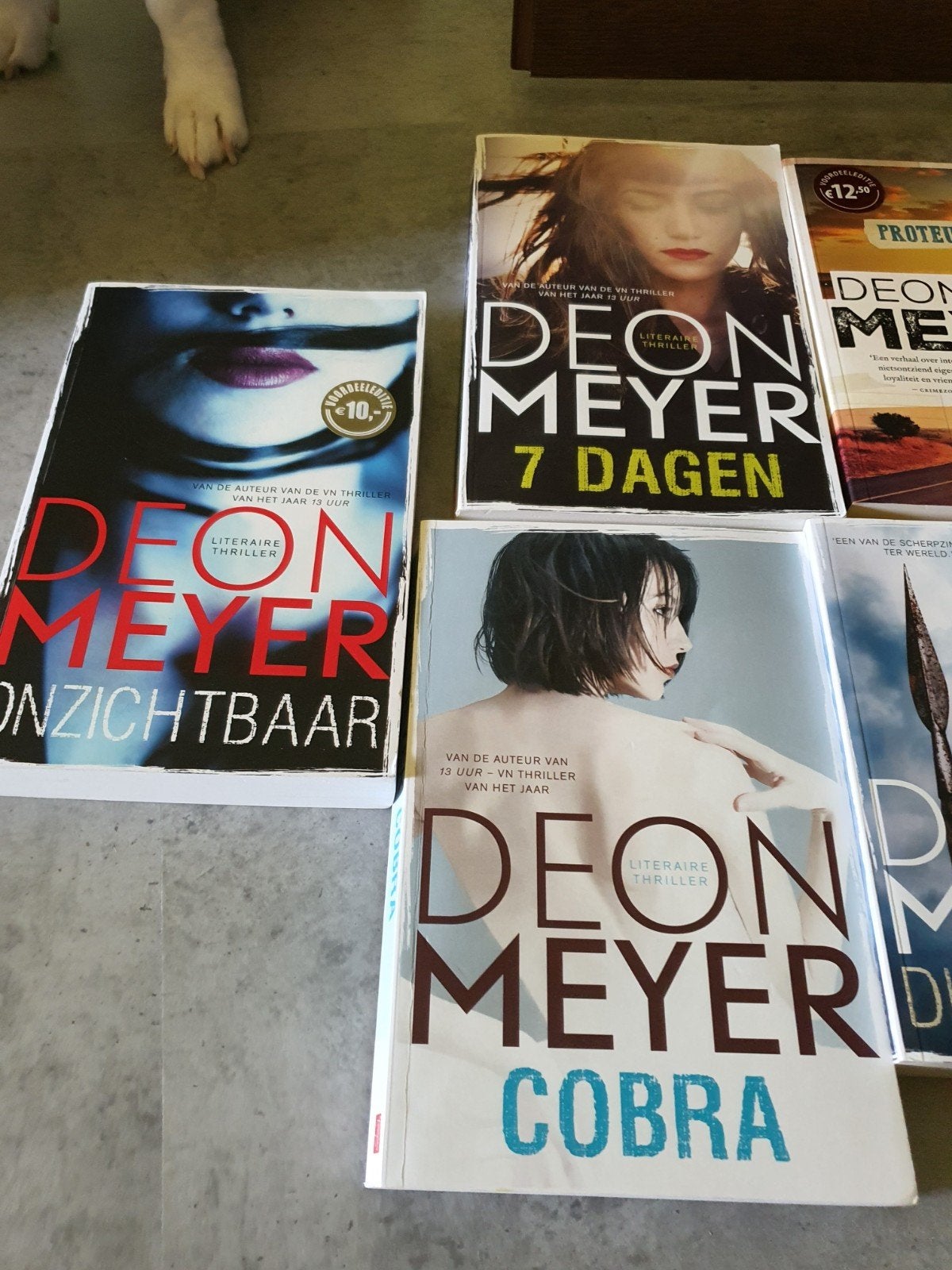 Thrillers Deon Meyer, Livres, Aventure & Action, Enlèvement