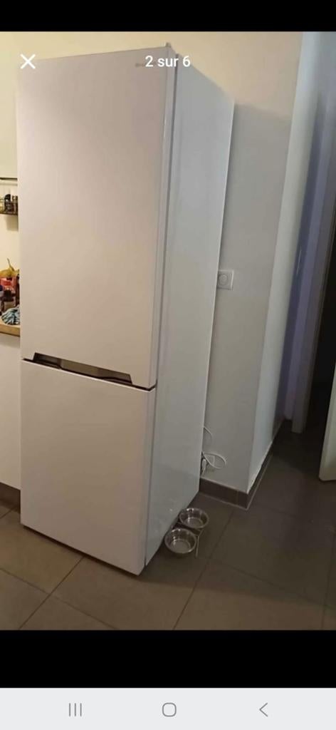 Frigo