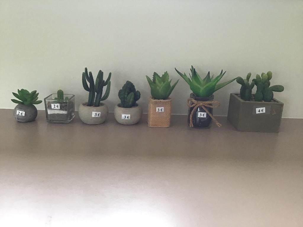 Plantes artificielles - Succulentes en pot 7 pièces, Plastique, Enlèvement ou Envoi, Comme neuf