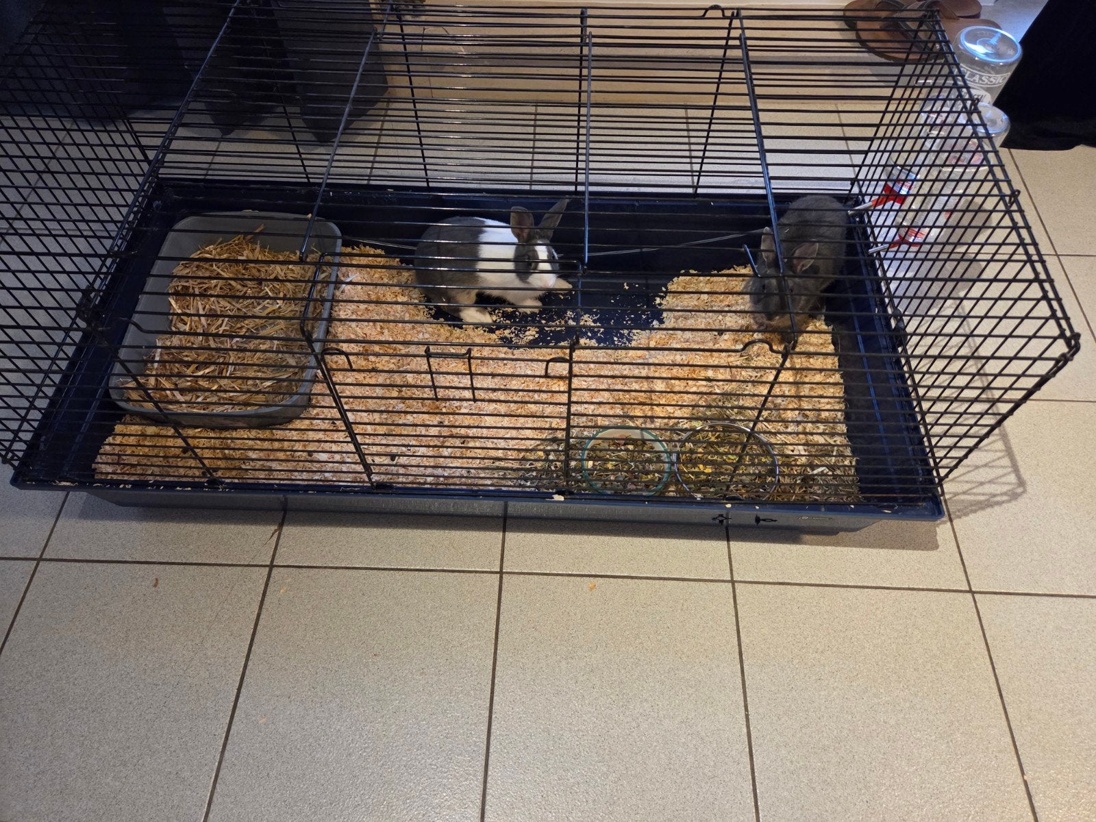 3 broertjes, Ophalen, Kooi