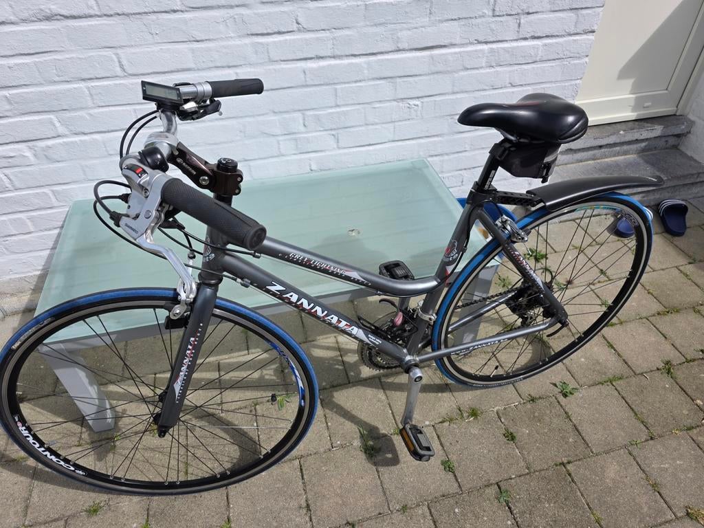 De fiets, Fietsen en Brommers, Ophalen of Verzenden