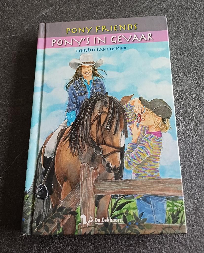 boek pony friends - ponny's in gevaar, Boeken, Ophalen of Verzenden, Gelezen, Henriëtte kan hemmink, Fictie