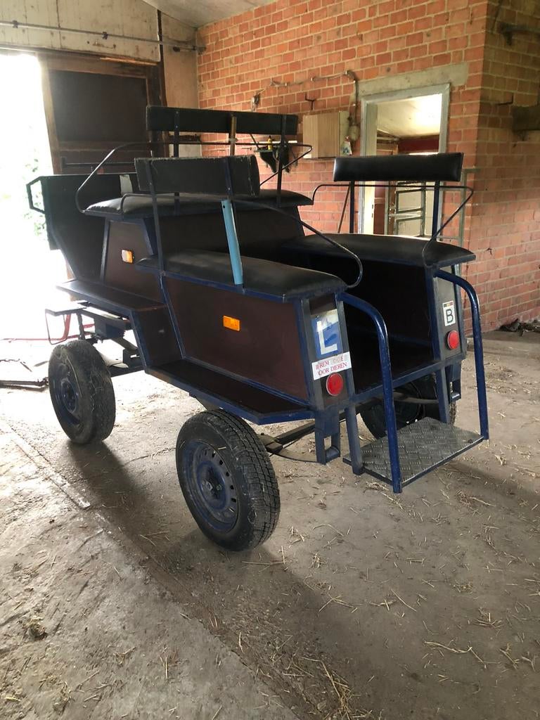 Koets te koop, Paard