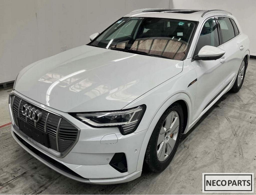 AUDI E TRON ETRON PORTIER DEUR KLEUR LS9R ALLES LEVERBAAR !!, Auto-onderdelen, Carrosserie, Achterklep, Audi, Achter, Gebruikt