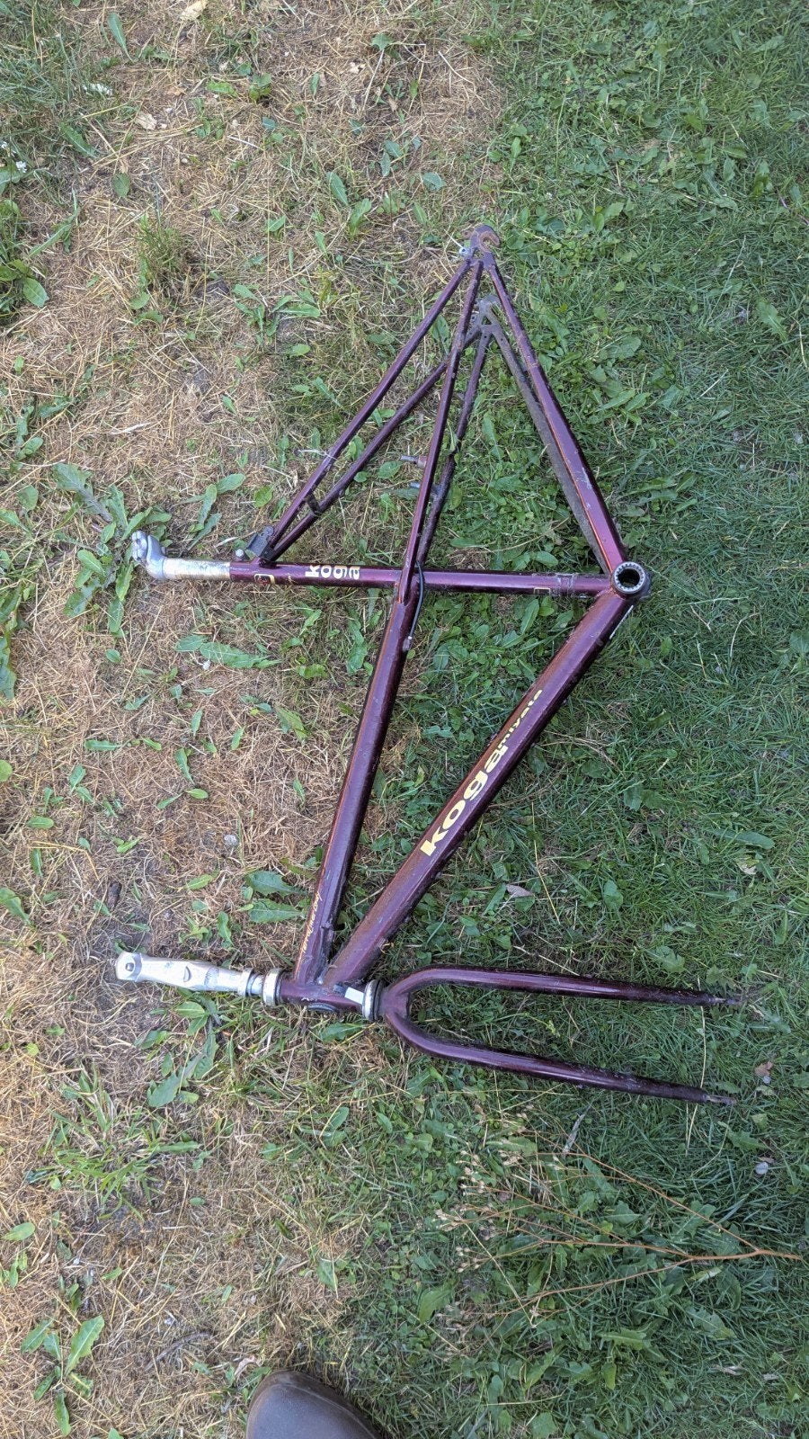 Koga damesframe om te pimpen., 47 à 51 cm, Enlèvement, Koga, Années 60 ou plus récent