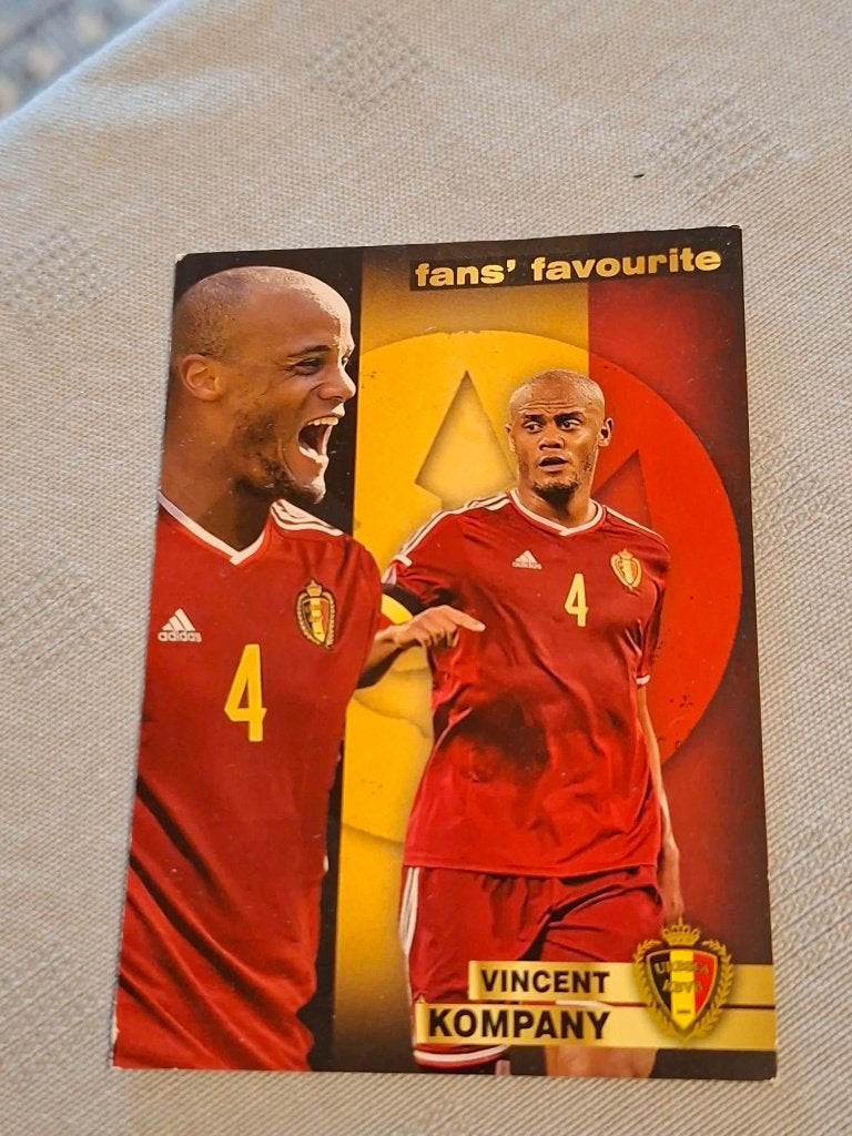 Panini / Voetbalkaart / Vincent Kompany / Rode Duivels, Verzamelen, Ophalen of Verzenden, Zo goed als nieuw, Spelerskaart
