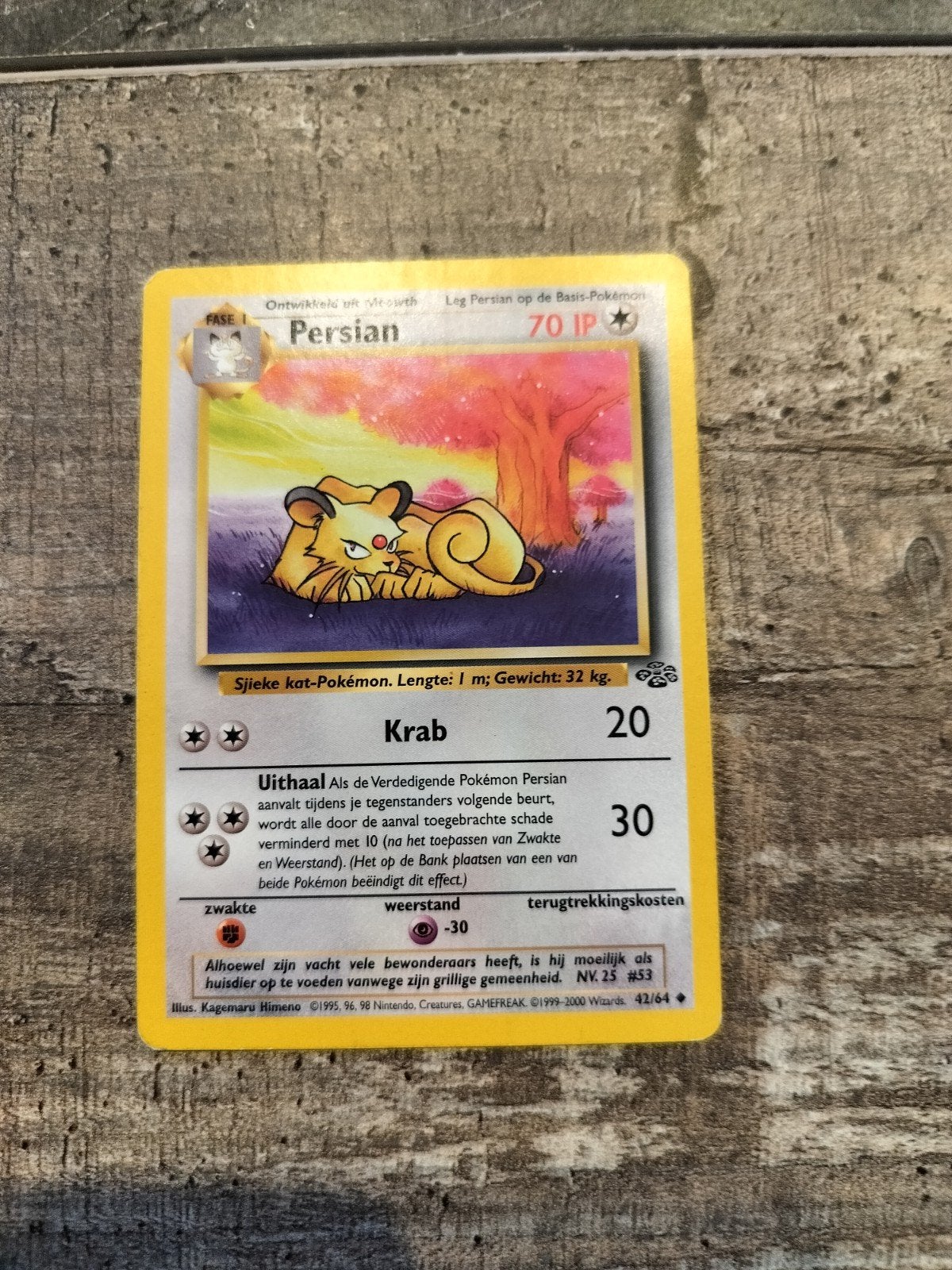Persian: krab, Ophalen of Verzenden