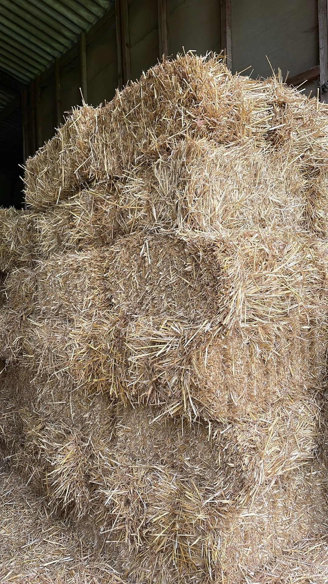 Kleine balen tarwe stro tekoop oogst ‘26, Enlèvement ou Envoi